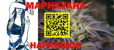 мдпв Камень-на-Оби