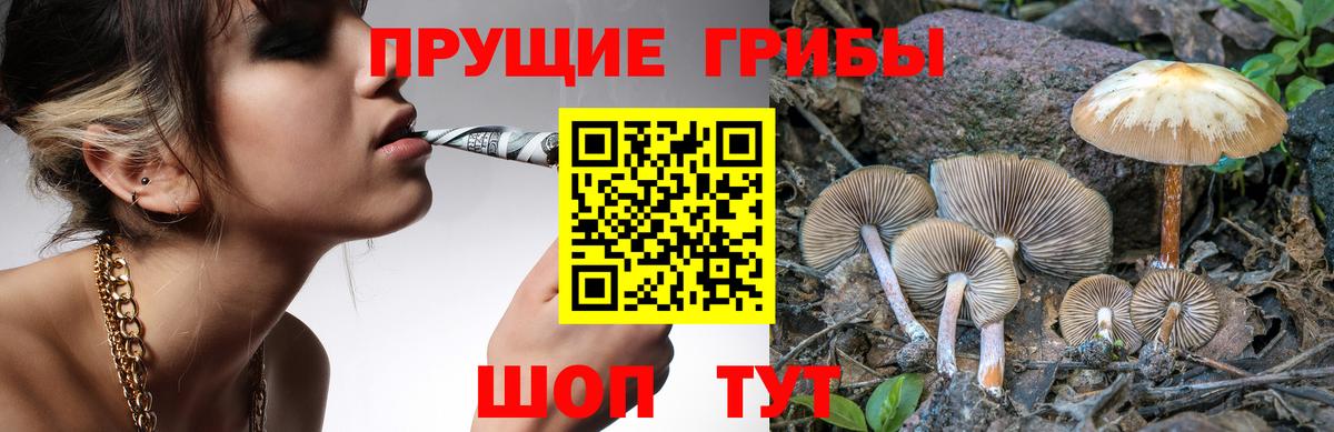 Владивосток  Галлюциногенные грибы GOLDEN TEACHER  Вход с VPN 