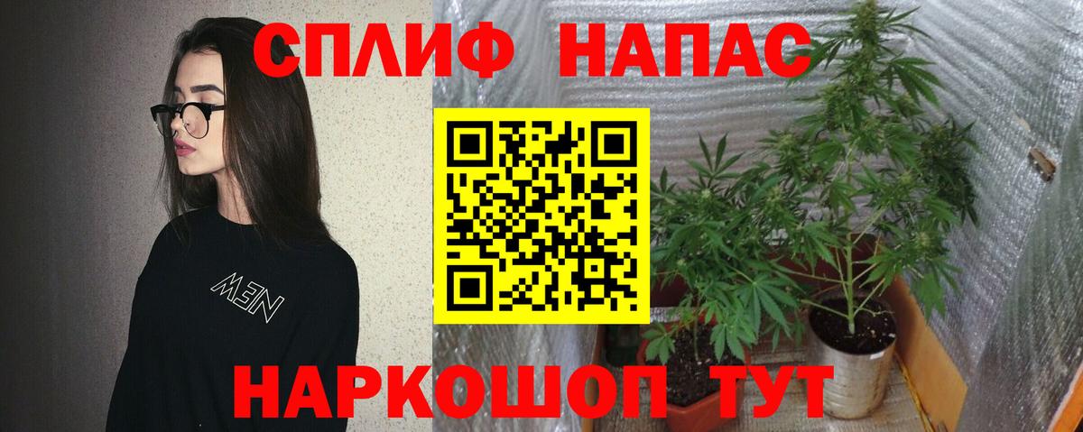 ГАШ Владивосток